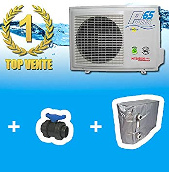 Pompe a chaleur poolex 65