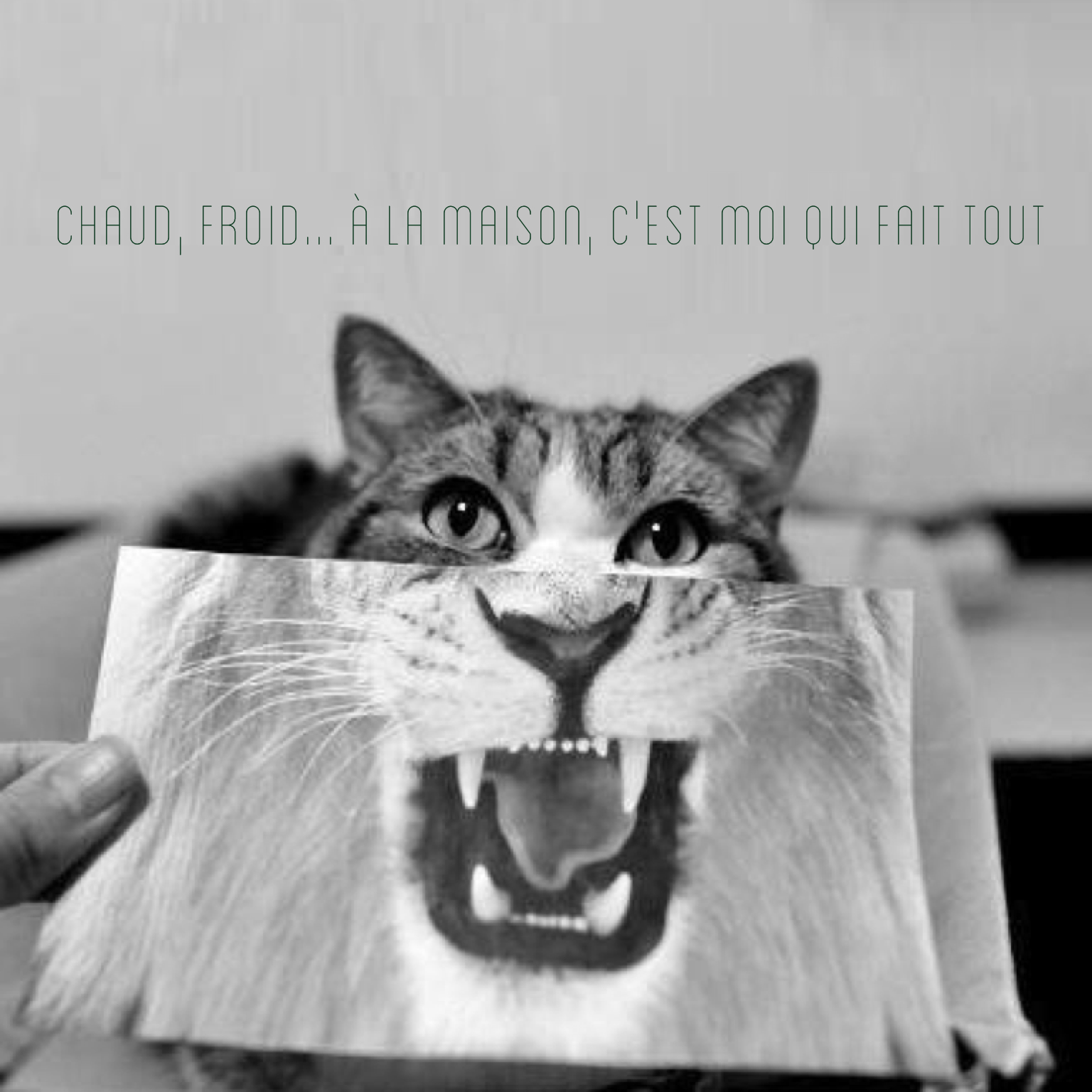 Meilleure pompe a chaleur reversible
