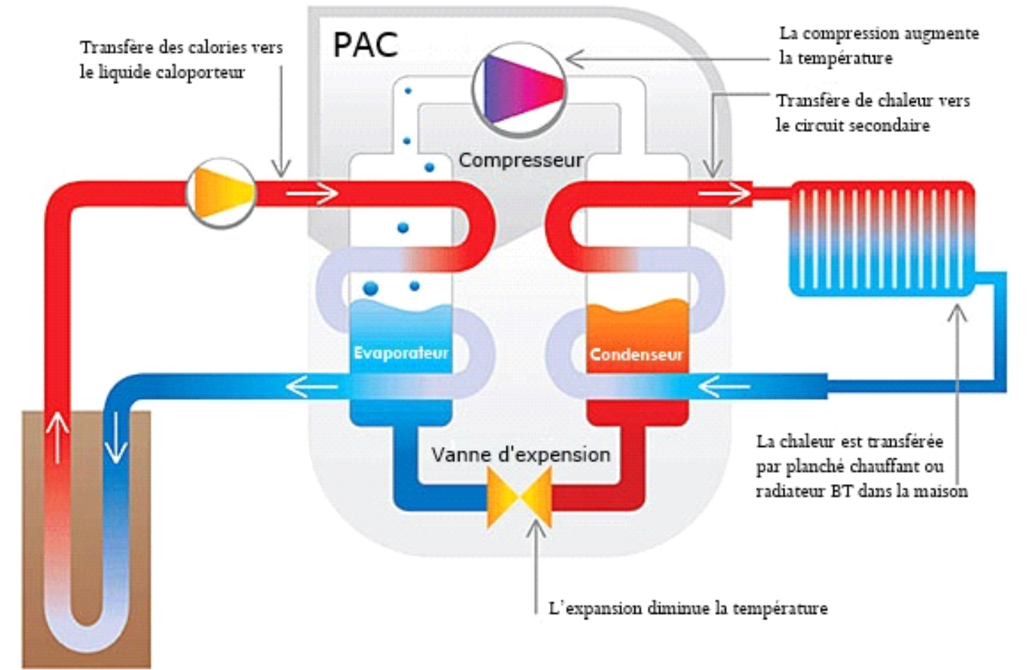 Pac eau eau