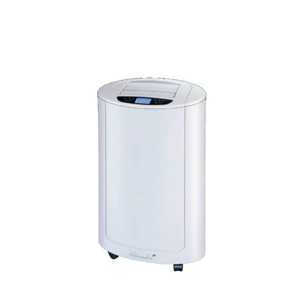 Climatiseur pompe a chaleur mobile